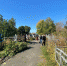 Бузулучане приглашаются на городской субботник - Администрация города