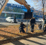 В Бузулуке продолжается реализация муниципальной программы «Повышение безопасности дорожного движения» - Администрация города