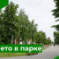Приглашаем бузулучан присоединиться к акции «Лето в парке» - Администрация города