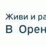Форум труда «Живи и работай в Оренбуржье!» - Бузулукский район