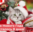 На пороге Новый год и Рождество, многие семьи готовятся к длинным каникулам, хозяйки закупают продукты, планируют меню - Бузулукский район