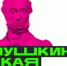 Пушкинская карта: оставшиеся деньги текущего года можно вложить в культурный досуг - Администрация города