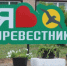 В Бузулуке идет подготовка к летнему отдыху детей - Администрация города