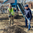 Бузулучане провели масштабный субботник в сквере «Никольский» - Администрация города
