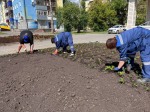 Цветочный сезон в Бузулуке продолжается