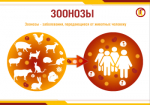 6 июля – Всемирный день зоонозных заболеваний