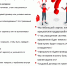 "Красные флаги" при выборе работодателя - Администрация города