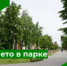 Приглашаем бузулучан присоединиться к акции «Лето в парке» - Администрация города