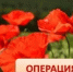 Сотрудники полиции провели оперативно-профилактическую  операцию «Мак-2025» - Администрация города