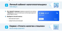 Федеральная налоговая служба напоминает, как быстро оплатить имущественные налоги - Администрация города