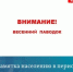Информация для жителей Бузулукского района - Бузулукский район