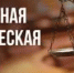 27 марта пройдет Единый день оказания бесплатной юридической помощи - Администрация города