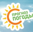 Ежедневный оперативный прогноз погоды на 08.04.2026 - Бузулукский район