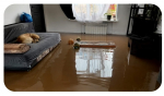 Наводнение в Бугуруслане: «Люди с ужасом смотрели, как вода поглощает их дома»