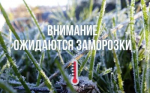 Экстренное предупреждение
