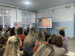 Стопскверна